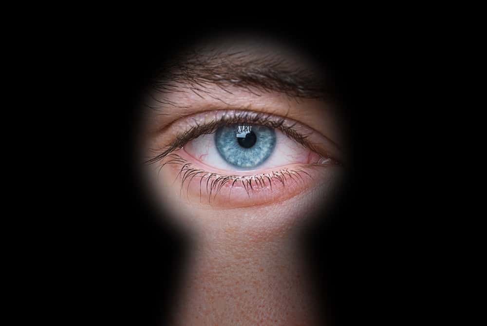 Wildest Secrets facts