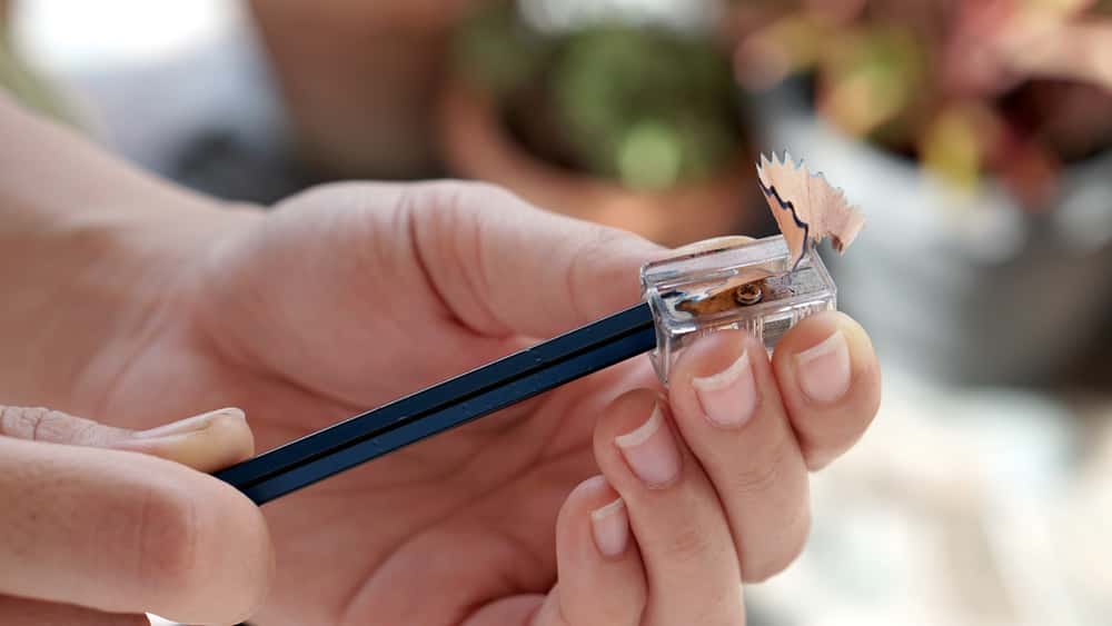 I Can Explain/Not What It Looks Like