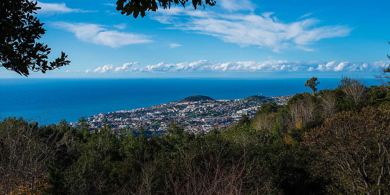 Sarah Forbes Bonetta facts