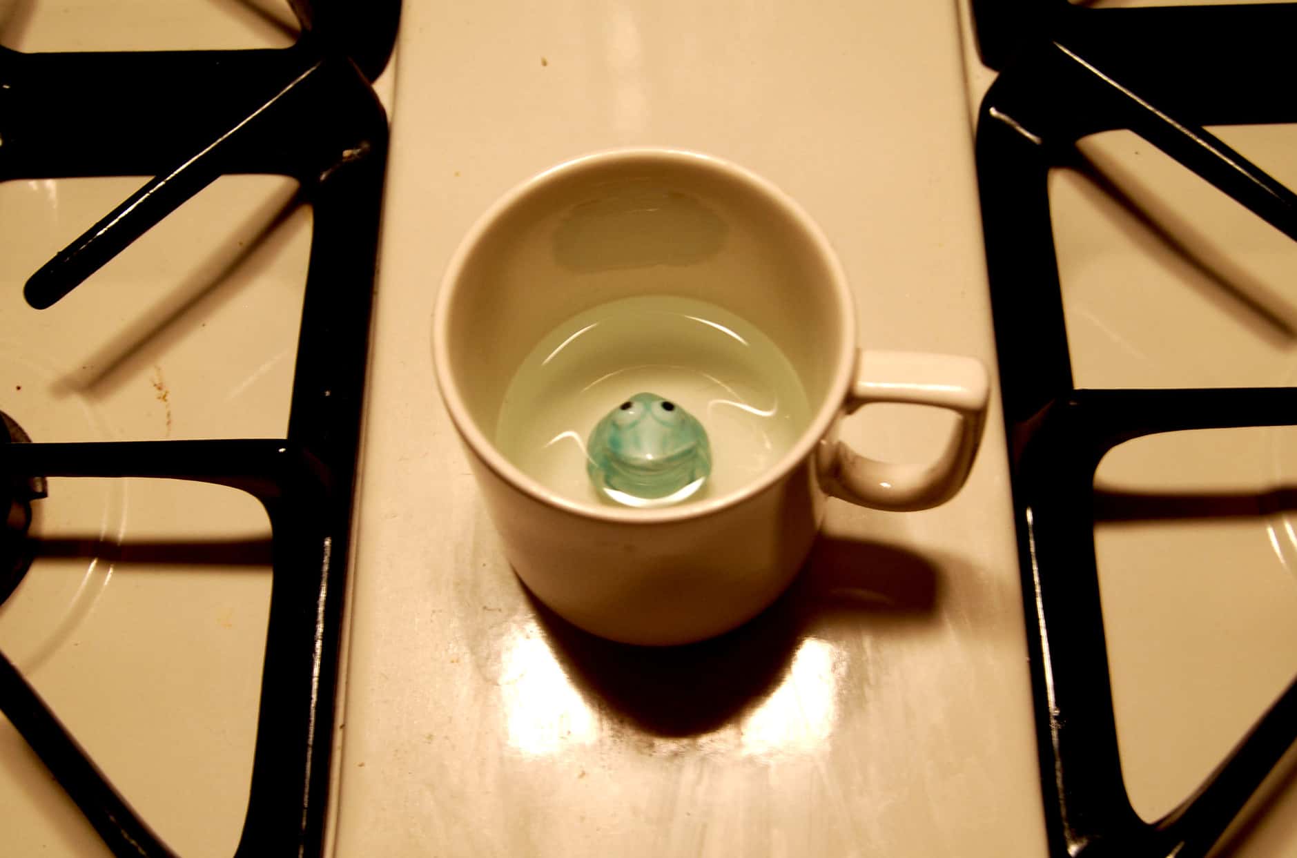 Bad Christmas gifts facts