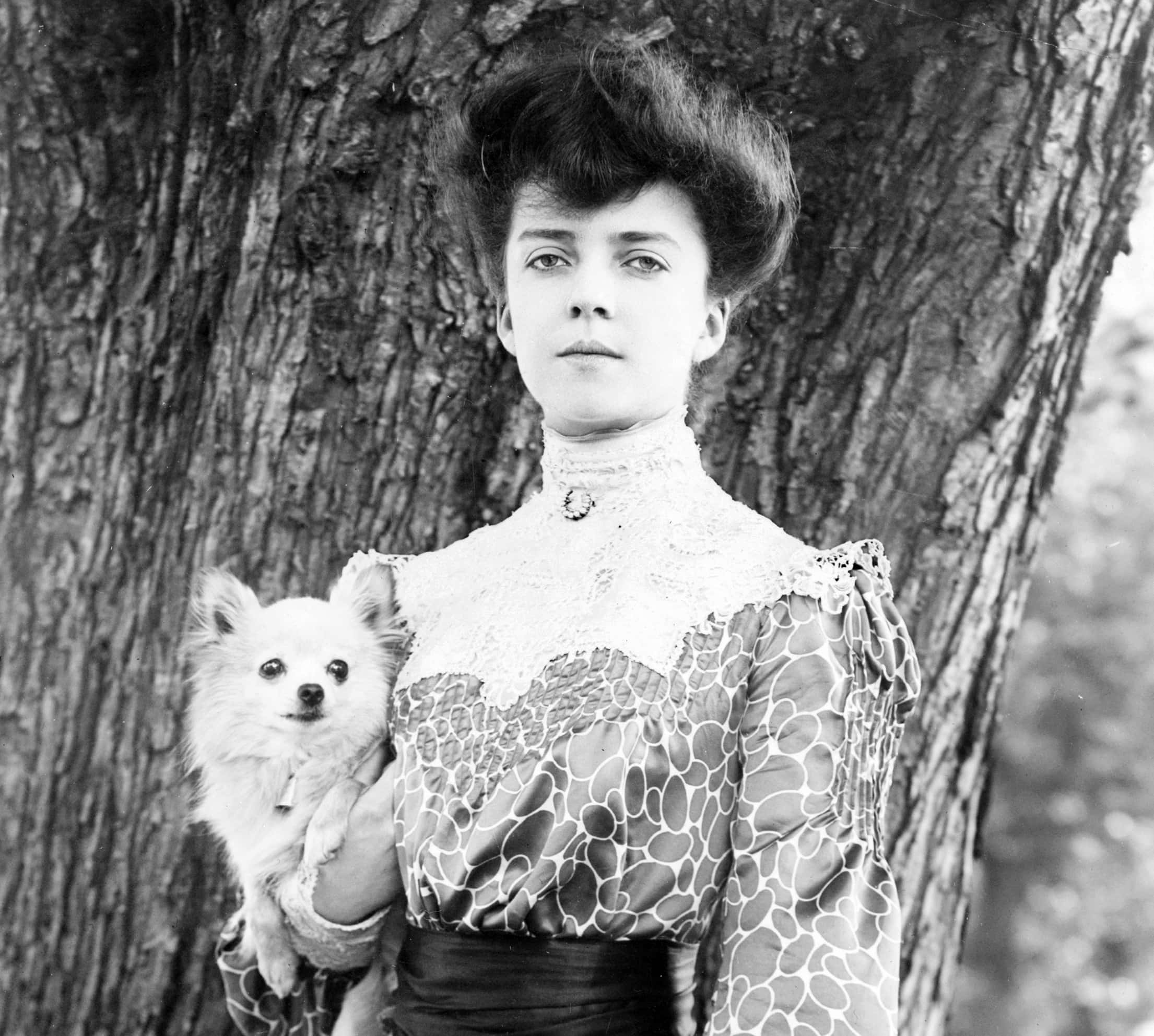 Alice Roosevelt facts