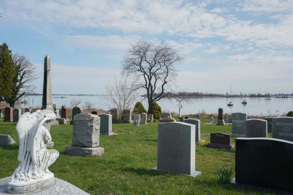 Bobby Driscoll Facts