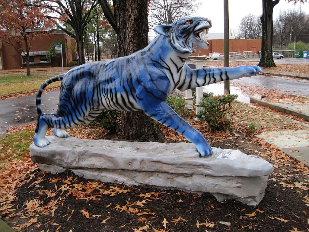 Other people's houses