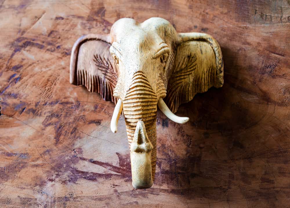 Other people's houses