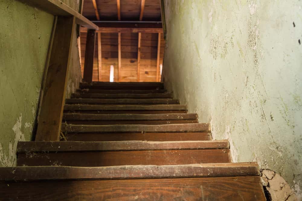 Other people's houses