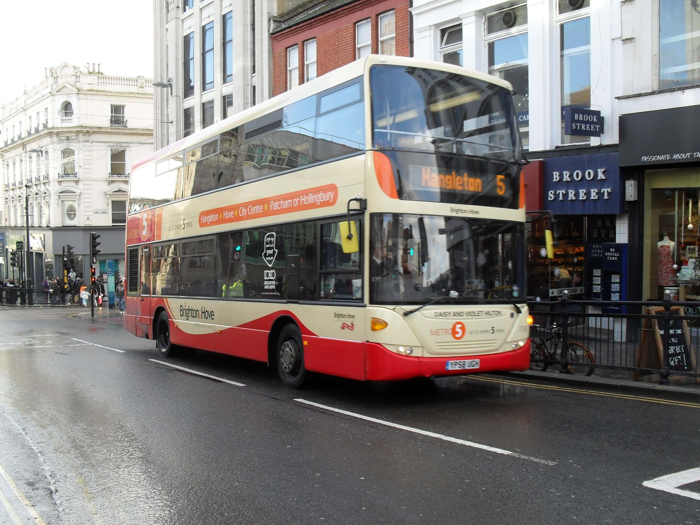 Daisy and Violet Hilton facts