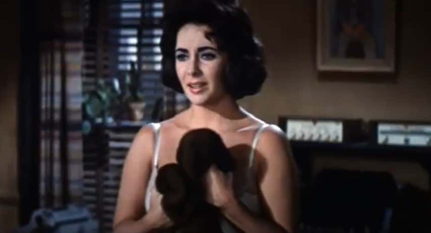 Starr Faithfull facts