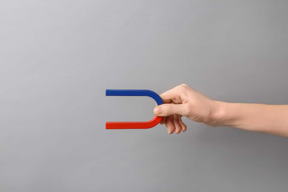 Worst Teachers Facts