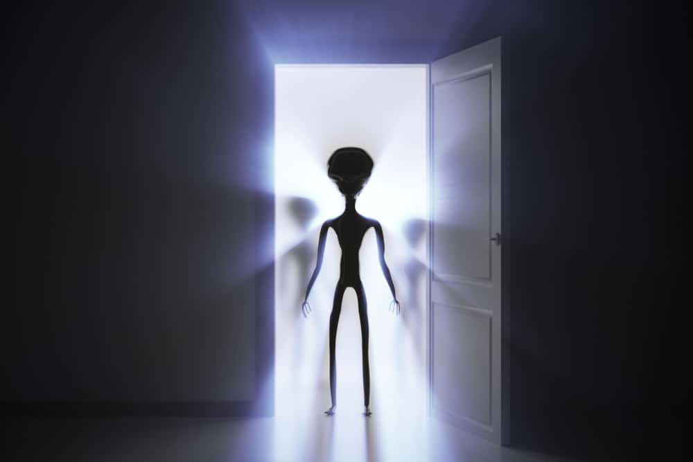 Middle Of Nowhere Facts