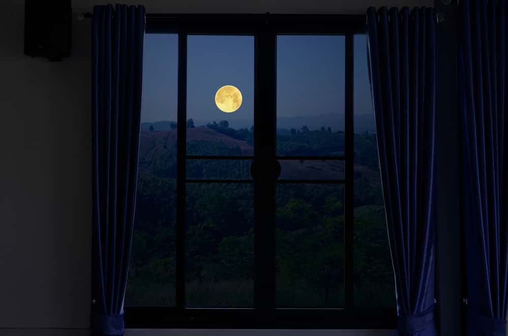 Messed Up Kids Facts