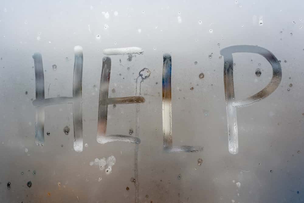 Middle Of Nowhere Facts