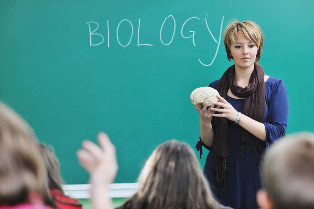 Worst Teachers Facts