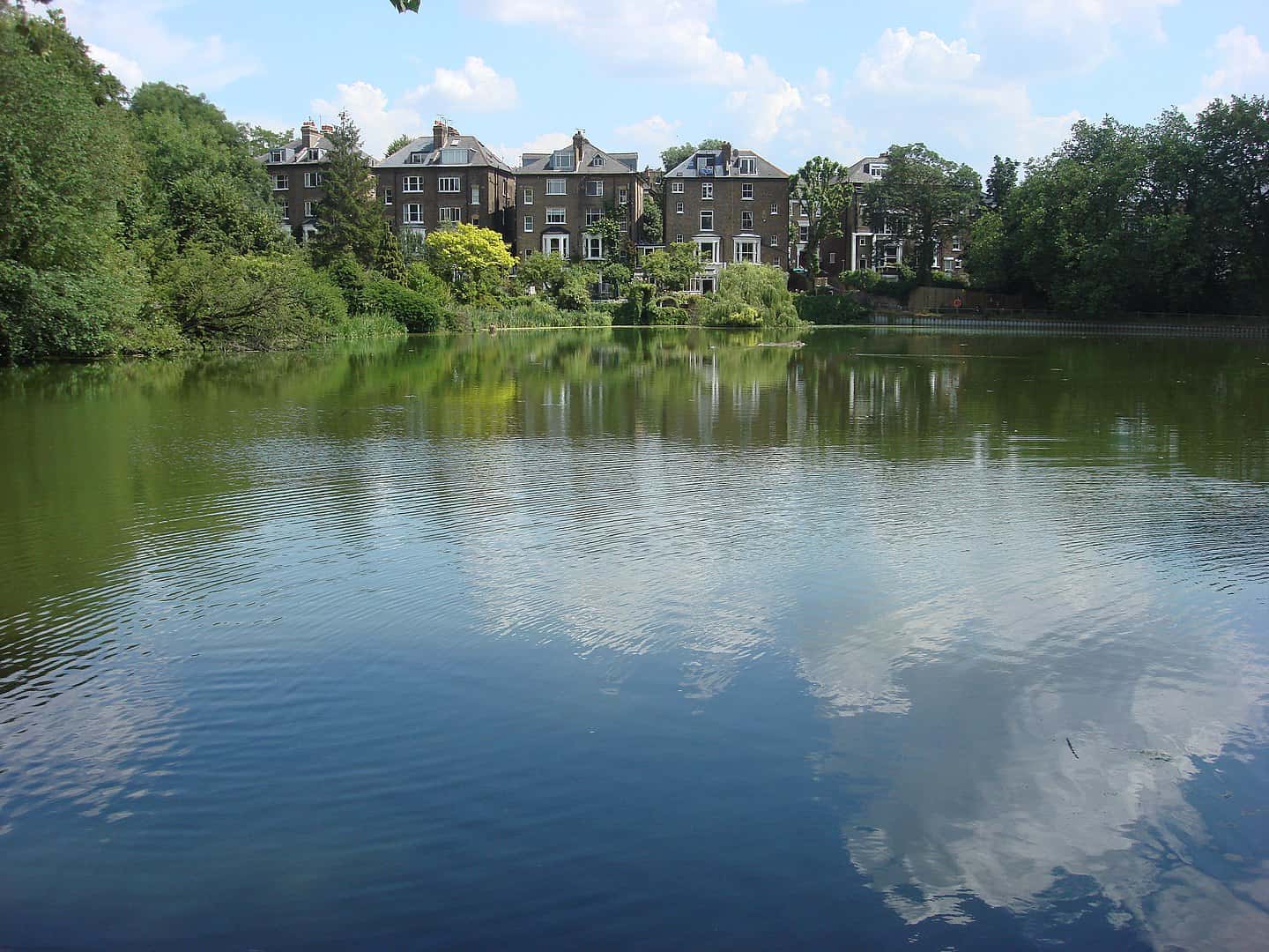 Leslie Hutchinson facts