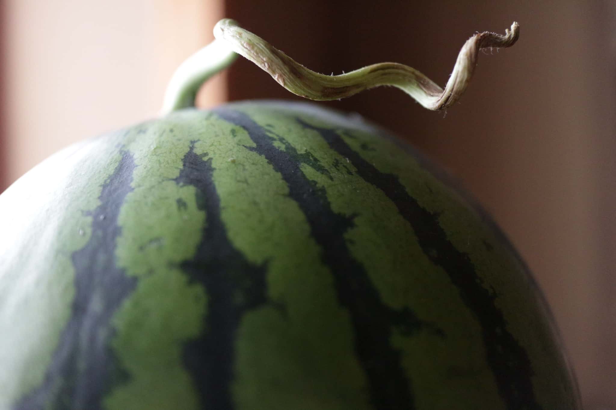 Banned For Life Facts