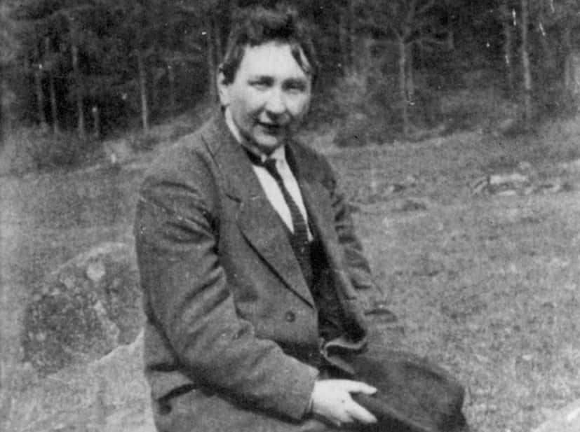 Genius or Idiot Facts