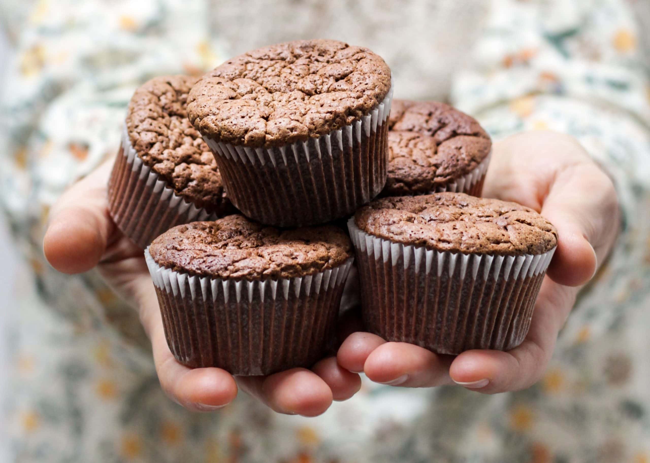 Life-Changing Encounters Facts