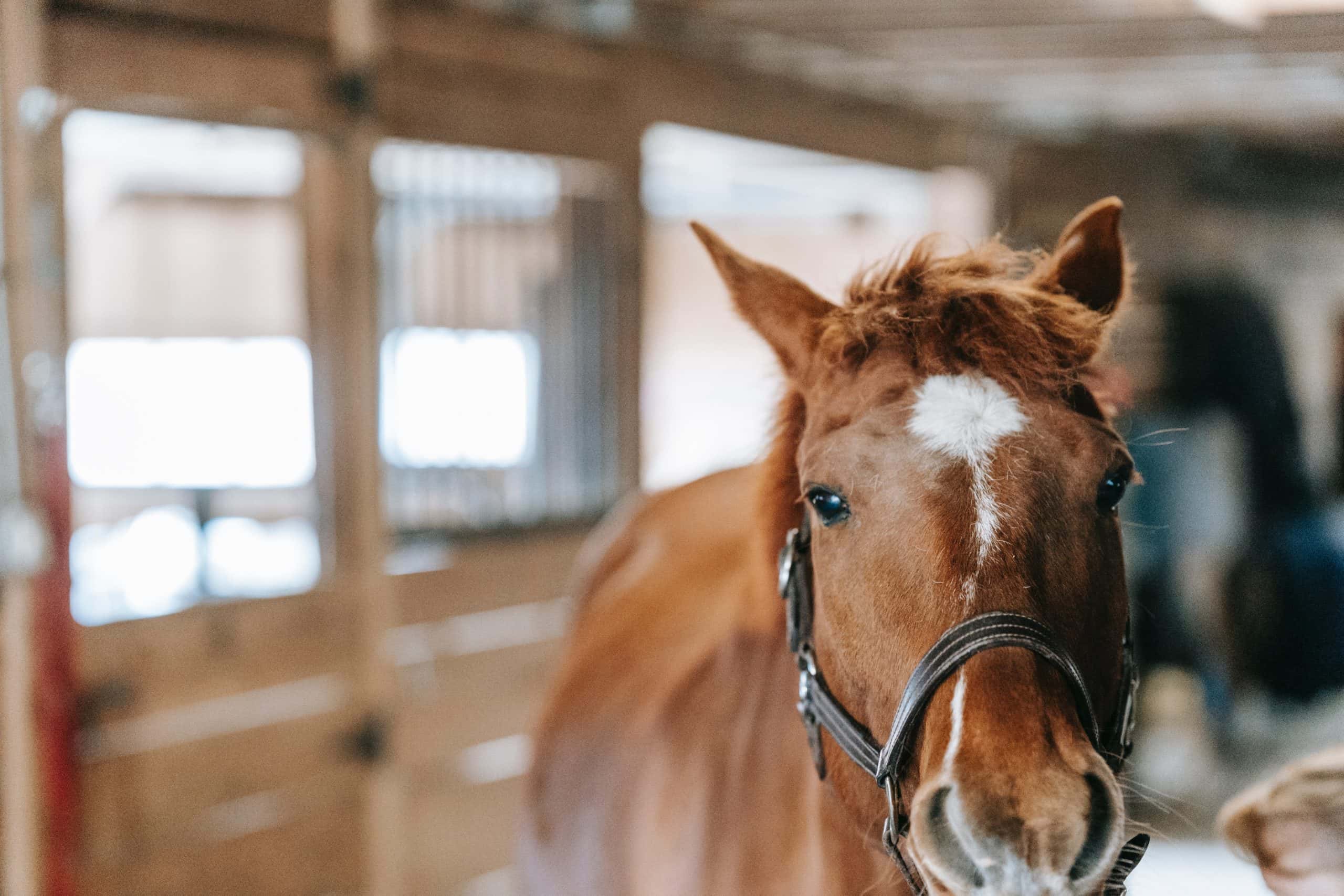 Employers Secrets facts