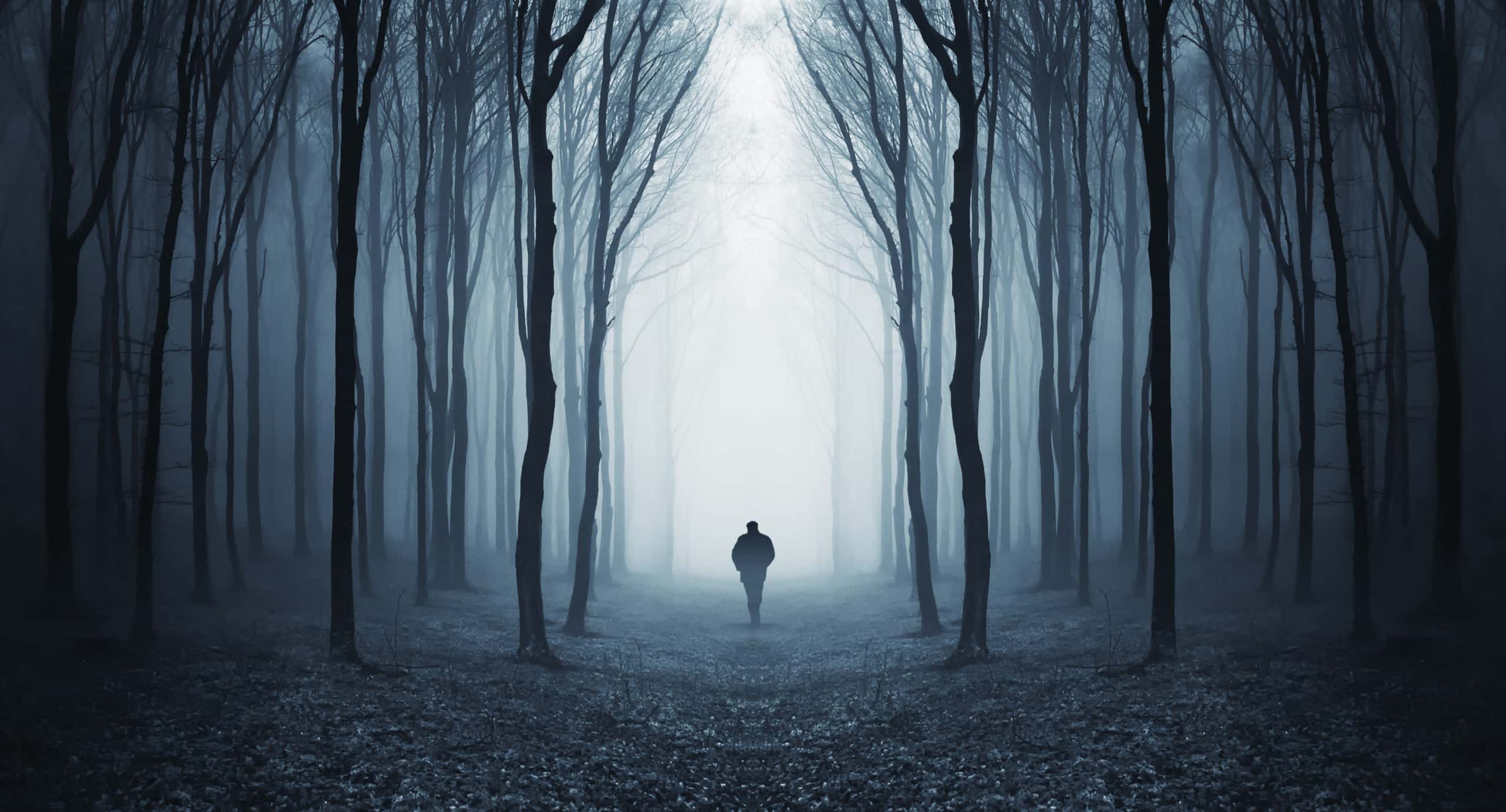 Exes Disturbing Behavior facts