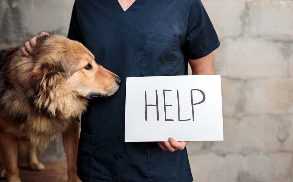 Employers Secrets facts