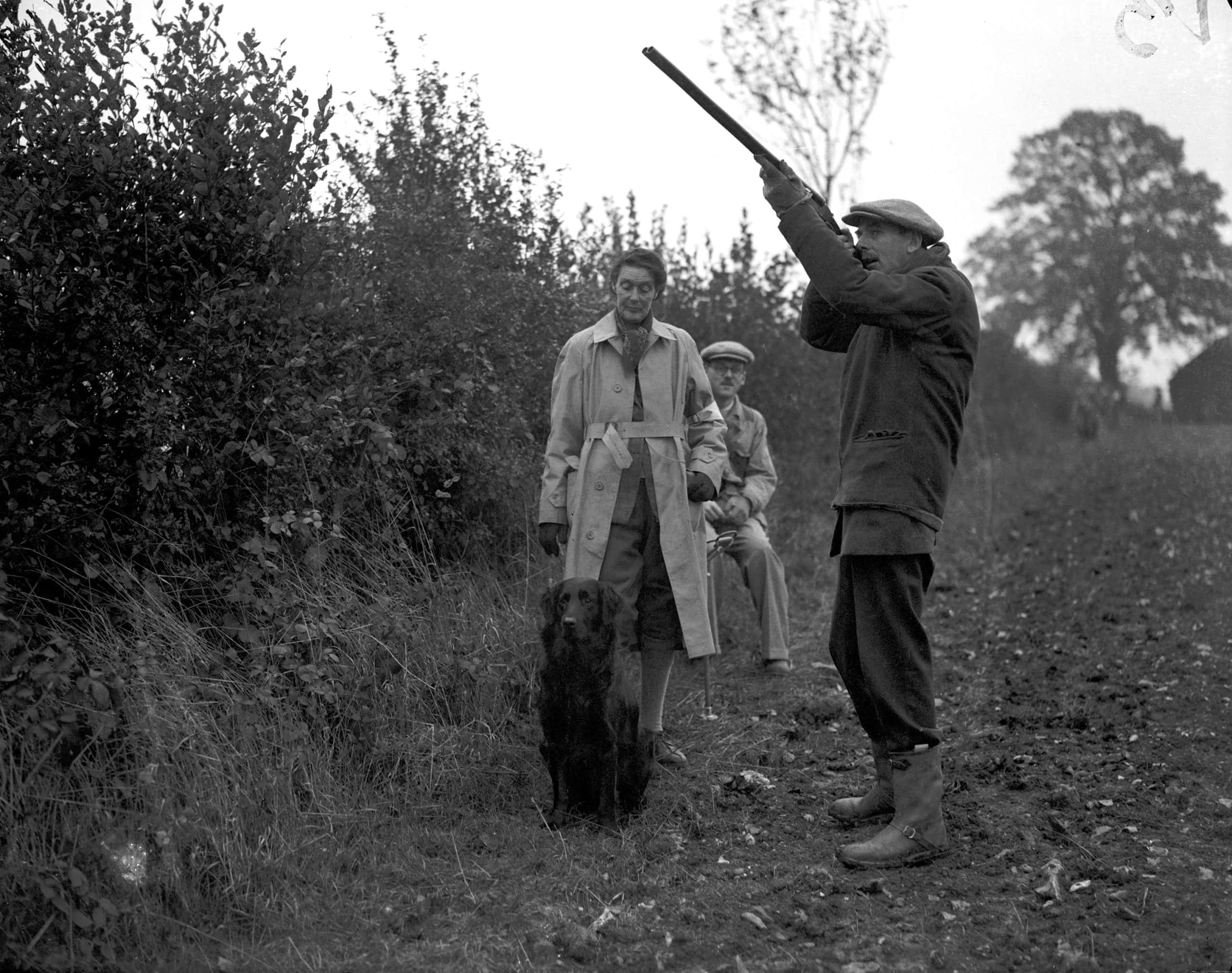 Prince Henry, Duke of Gloucester facts