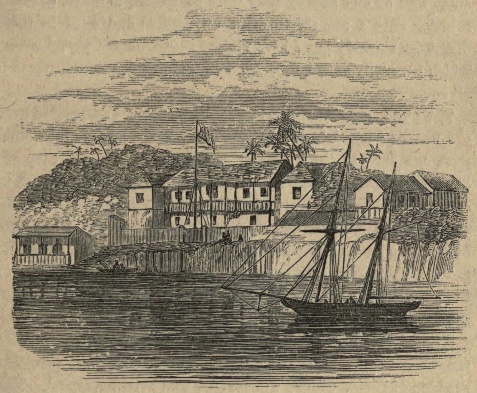 Chang and Eng Bunker facts