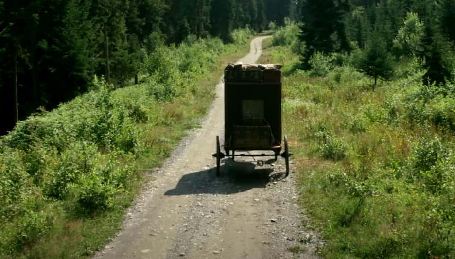 Chang and Eng Bunker facts