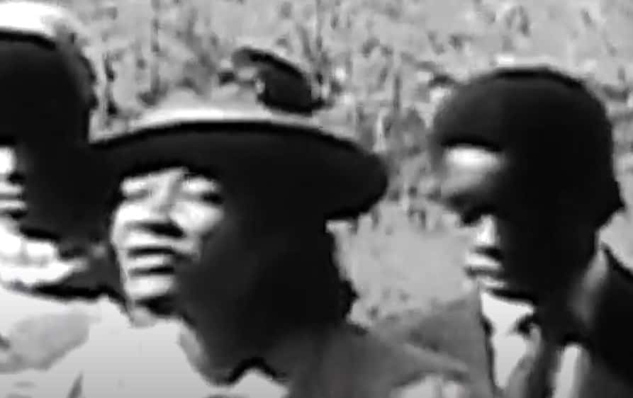 Zora Neale Hurston facts