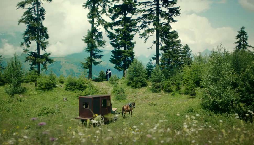 Chang and Eng Bunker facts