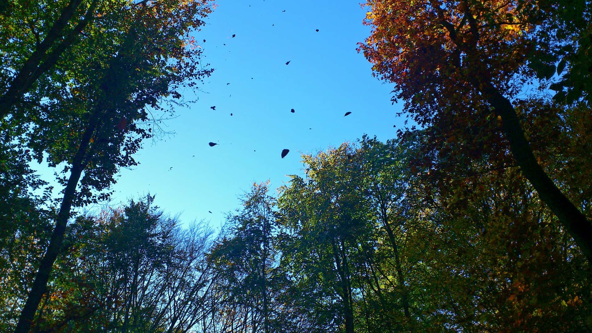 Stupidest Things Ever Heard Facts