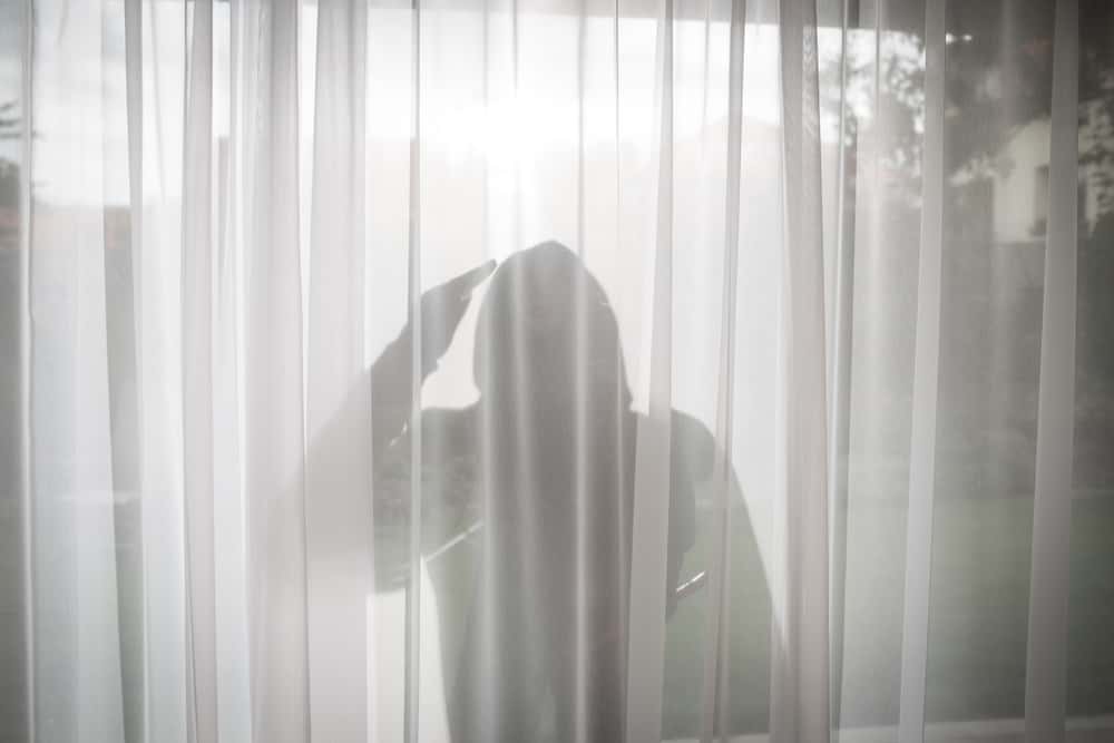 Creeped Out in Daylight Facts