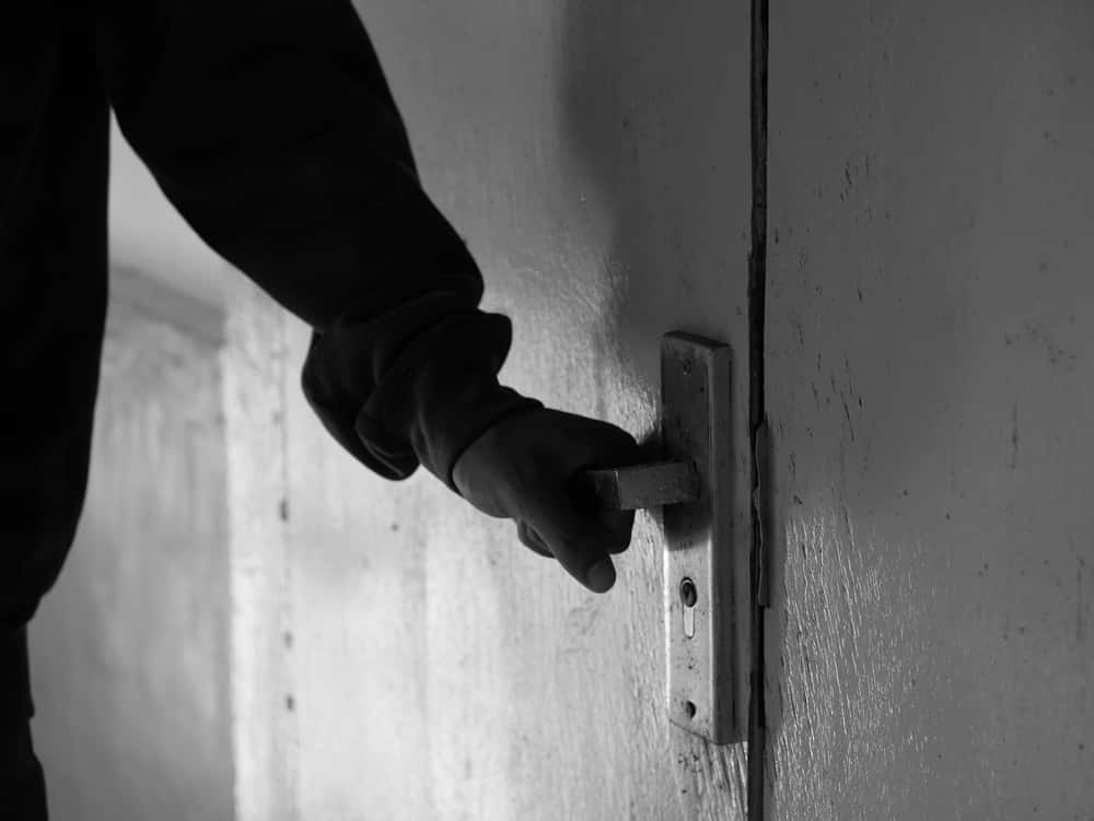 Creeped Out in Daylight Facts