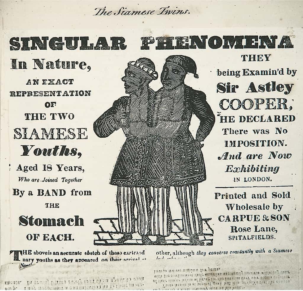 Chang and Eng Bunker facts