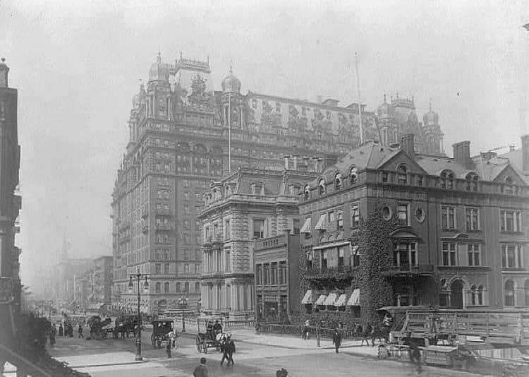 Caroline Astor Facts