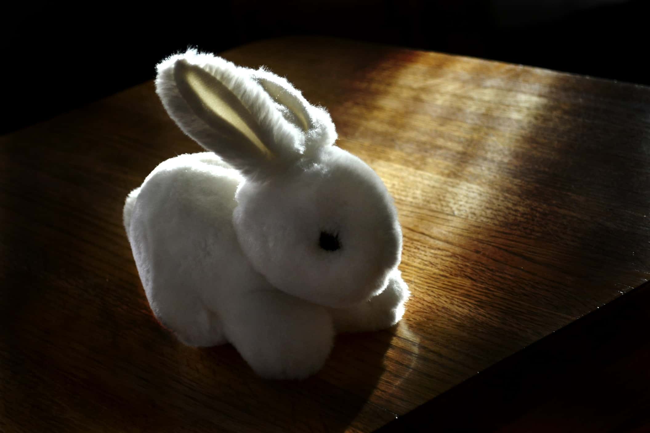 Supernatural Experiences