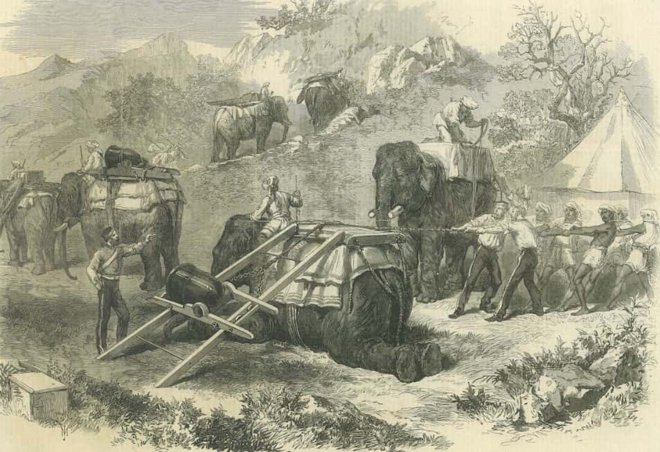 Prince Alemayehu facts