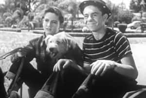 Alf Little Rascals Alfalfa From Little Rascals Met A Disturbing End