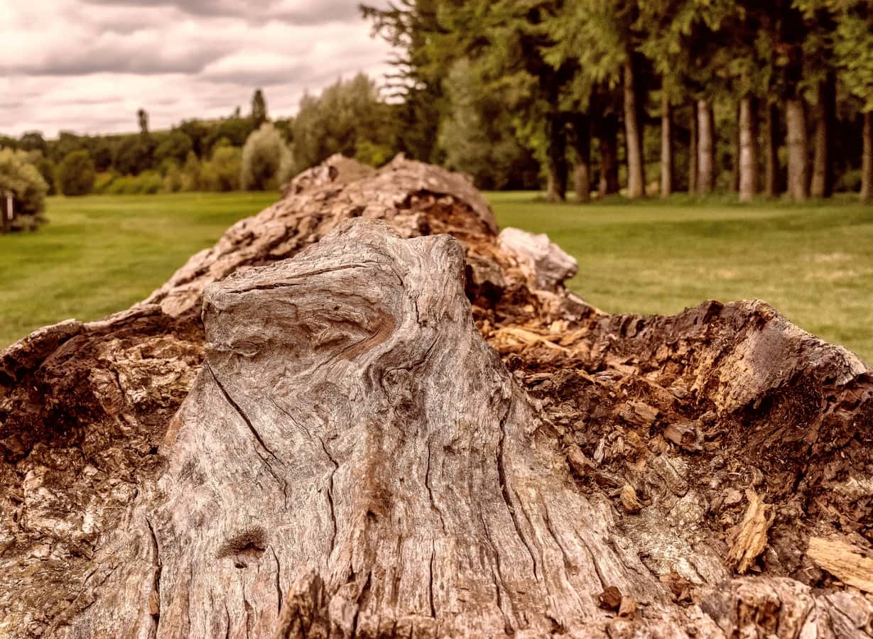 Supernatural Experiences