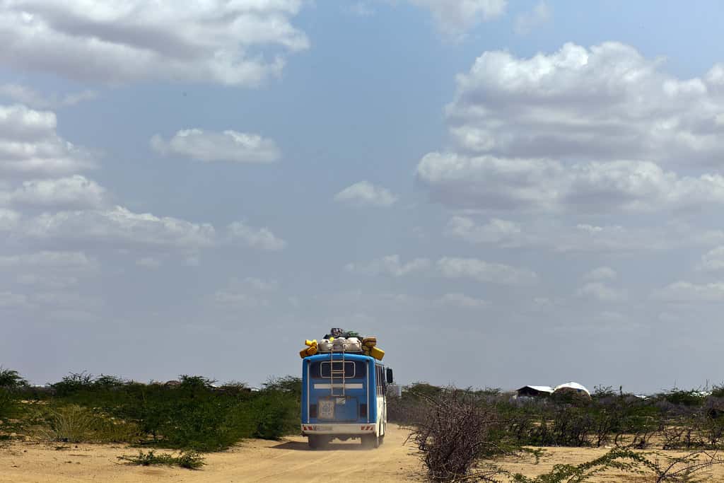 Dodged A Bullet facts