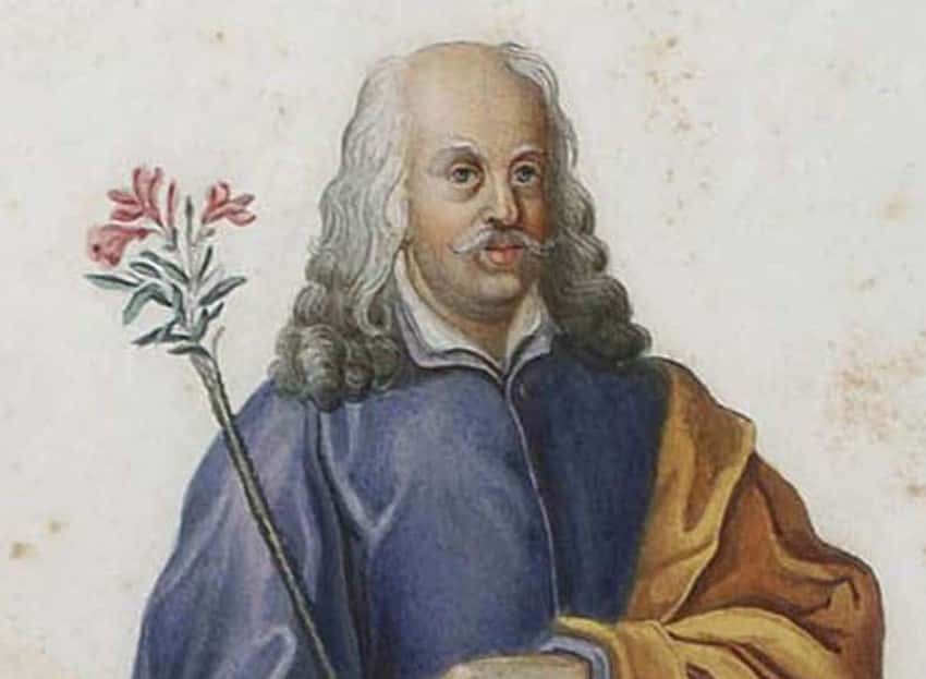 Marguerite d’Orléans facts