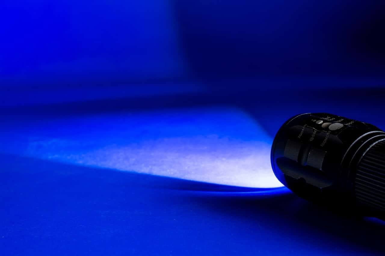 The Worst Neighbors Ever