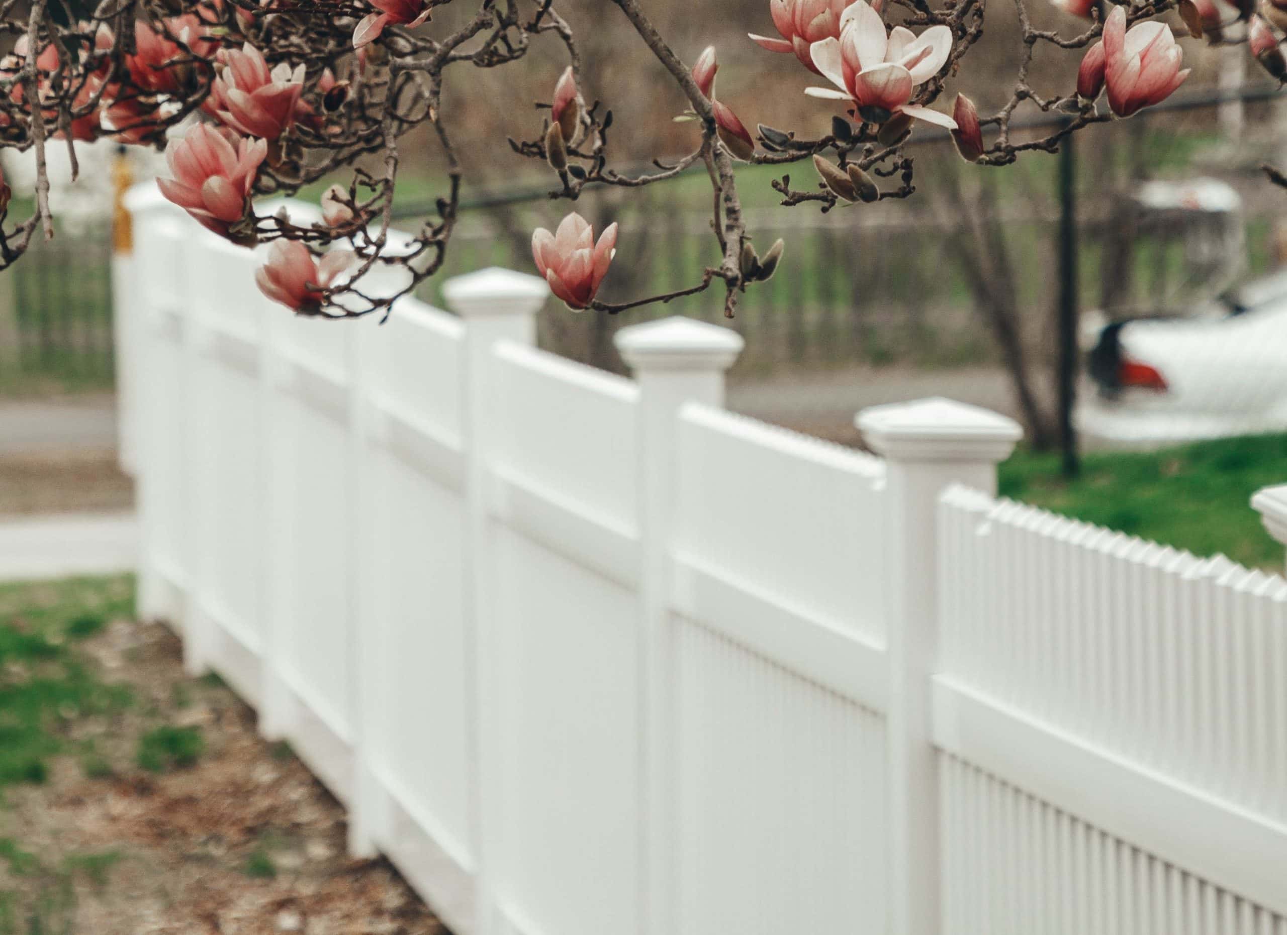 The Worst Neighbors Ever