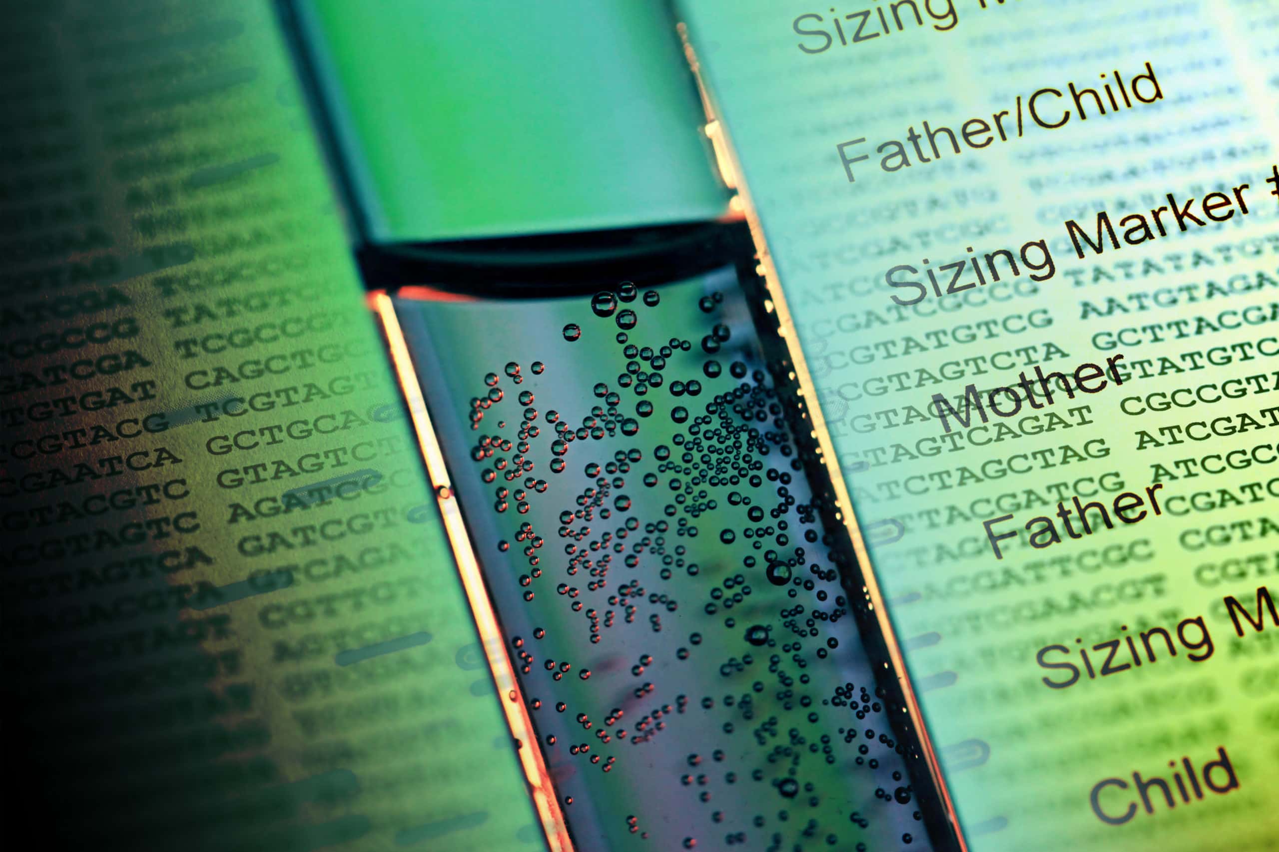 Questionable Paternity facts