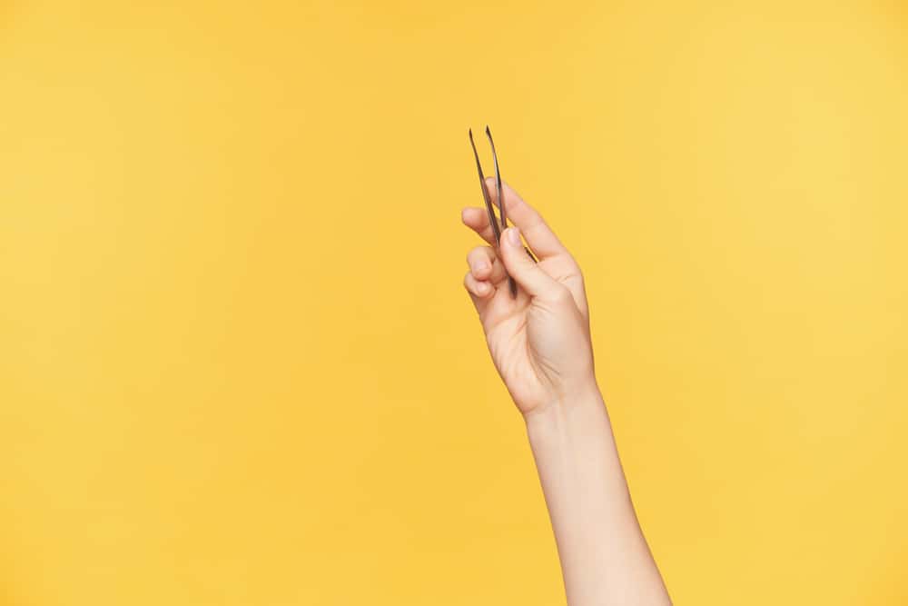 Petty Acts Of Revenge