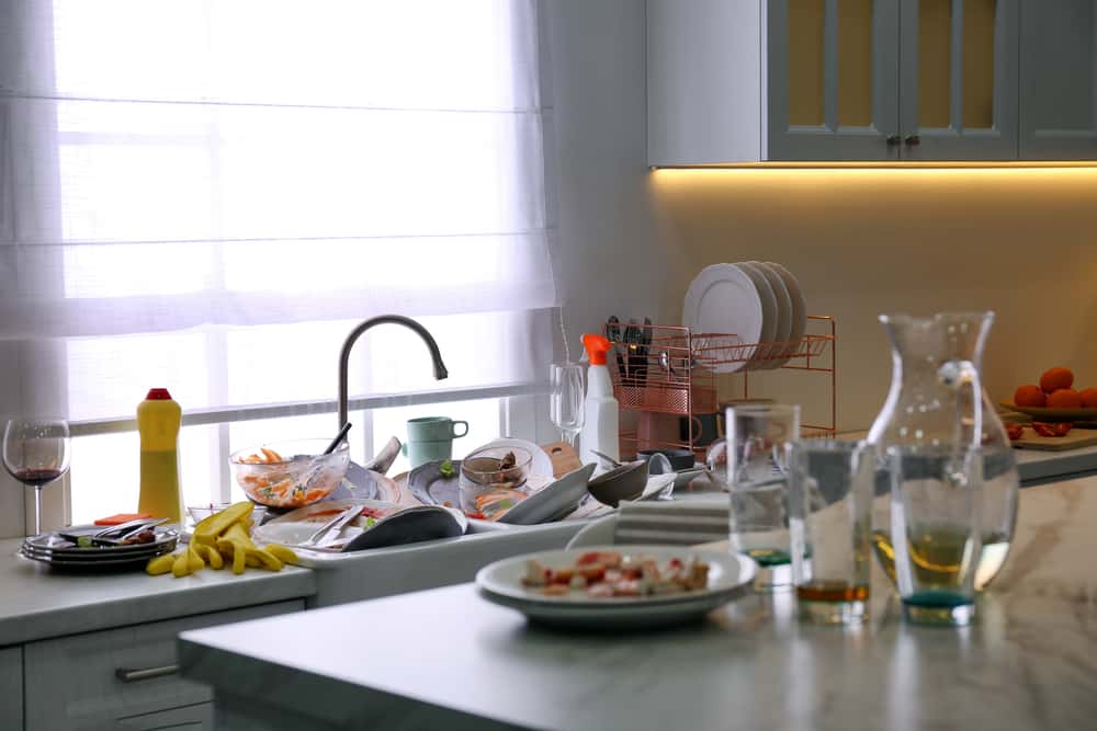 Annoying Roommates facts