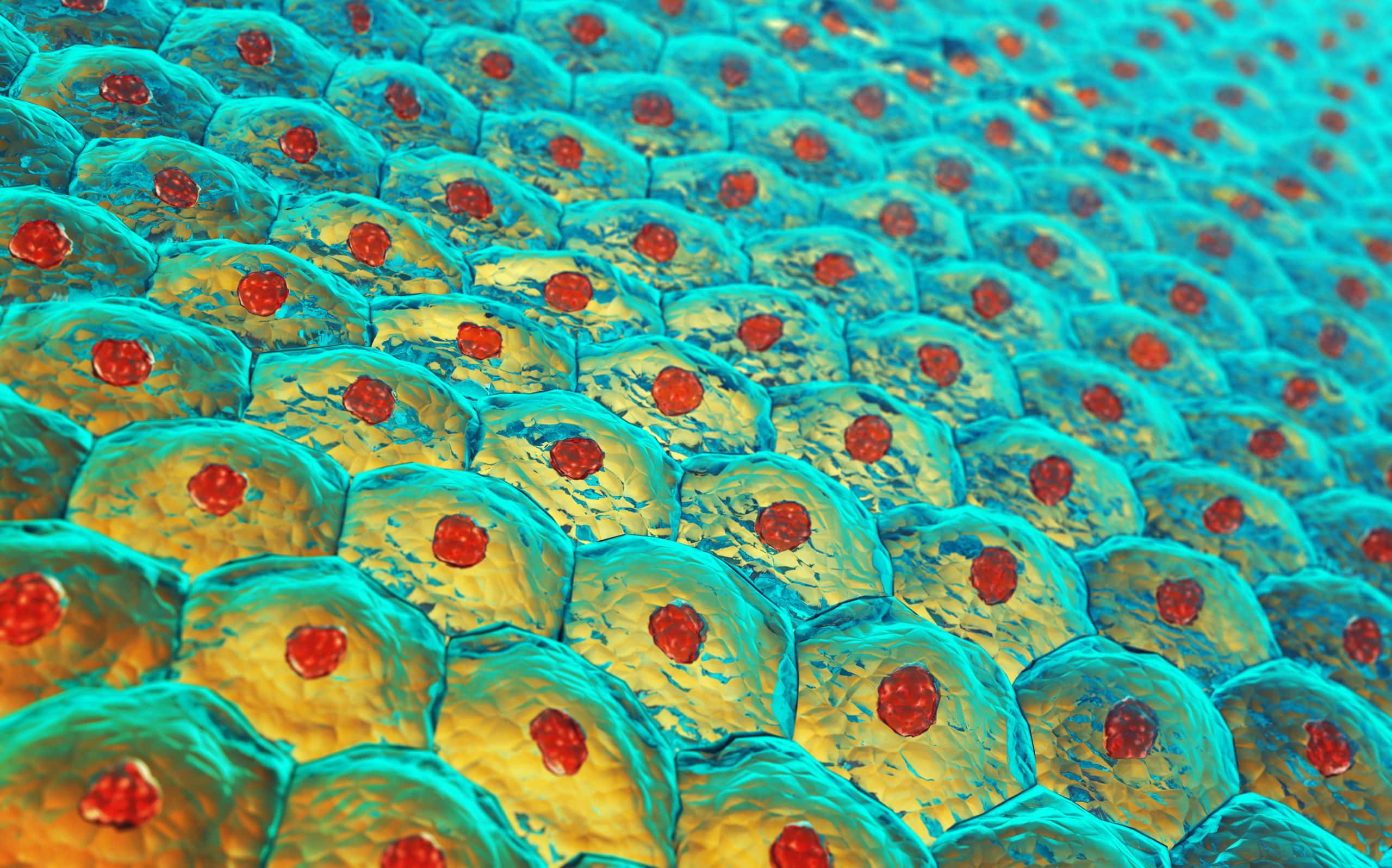 Mitochondria Editorial