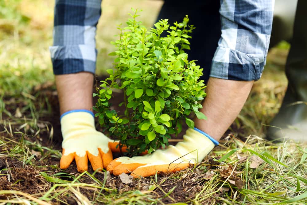 The Worst Neighbors Ever