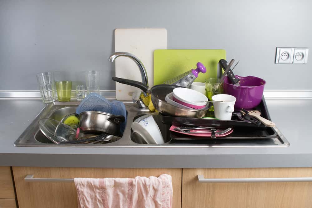 Annoying Roommates facts