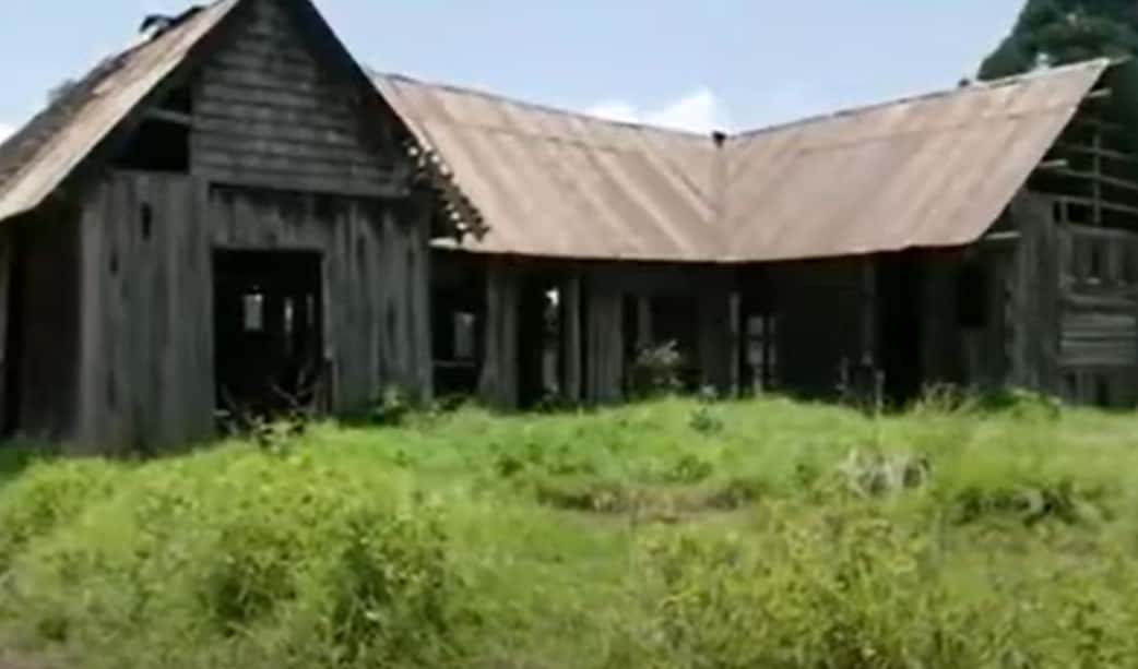 Alice de Janzé facts