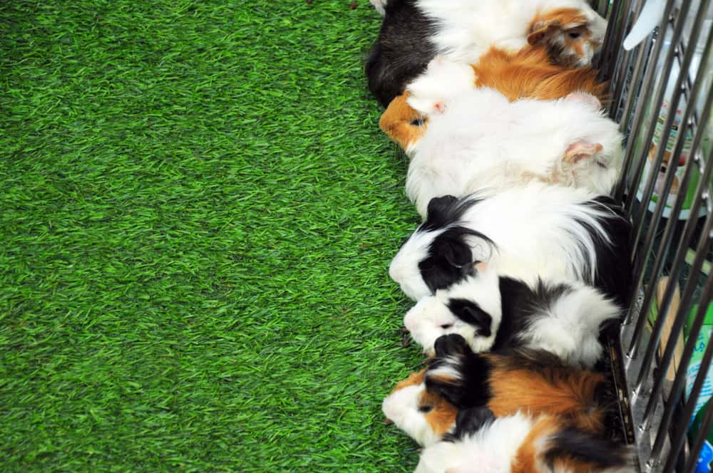  Co-Worker Idiot facts 