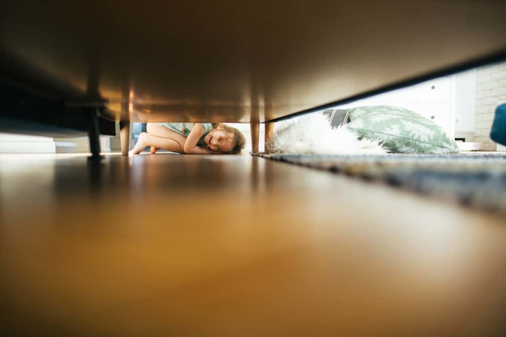 Hide And Seek Goes Wrong facts